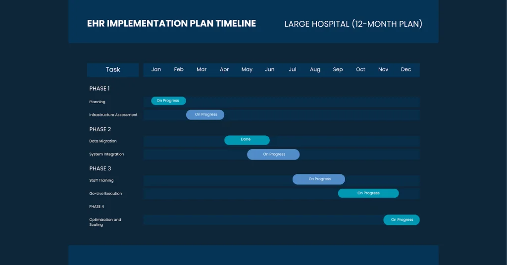 EHR Implementation Plan for Large Hospitals